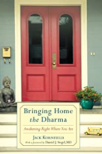 Bringing Home the Dharma: Awakening Right Where You Are(中古品)