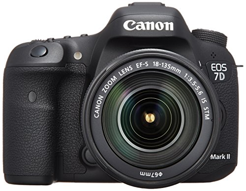Canon デジタル一眼レフカメラ EOS 7D Mark II EF-S18-135 IS STM レンズキ(中古品)