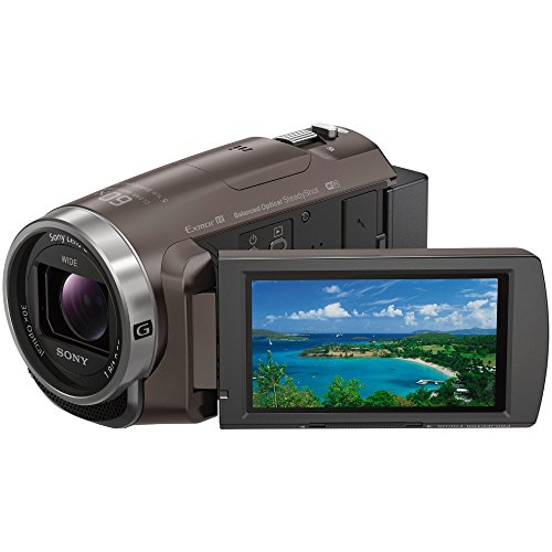 ソニー ビデオカメラ Handycam 光学30倍 内蔵メモリー64GB ブロンズブラウ (中古品)