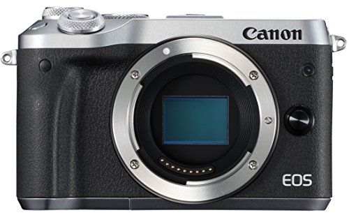 Canon ミラーレス一眼カメラ EOS M6 ボディー(シルバー) EOSM6SL-BODY(中古品)