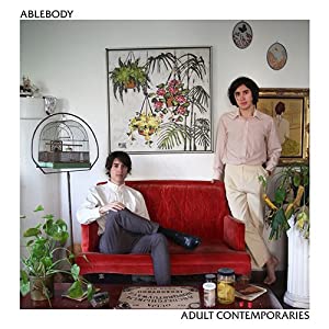 ADULT CONTEMPORARIES [CD](中古品)