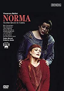 ベッリーニ:歌劇《ノルマ》パルマ王立劇場2001年 [DVD](中古品)