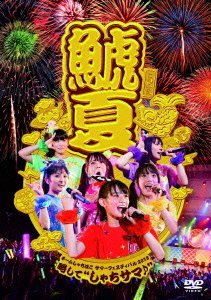 チームしゃちほこサマーフェスティバル2013~略して しゃちサマ♪ [DVD](中古品)