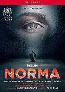 ベッリーニ:歌劇《ノルマ》[DVD](中古品)